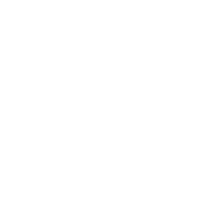 United Fray